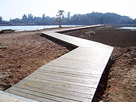 棧道