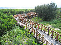 八里左岸棧道 