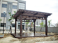 棚架